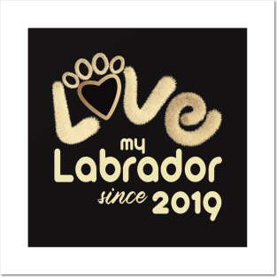 Love my labrador since 2019 Posters and Art